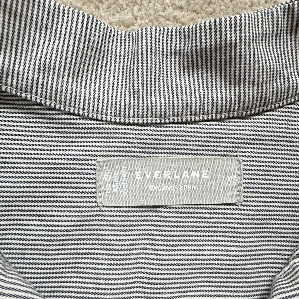 Everlane Easy Workwear Dress - Tan and Navy Stripes - Picture 2 of 9
